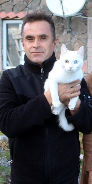  Nüfusun 25'e düştüğü mahalleye 'kedi yuvası'