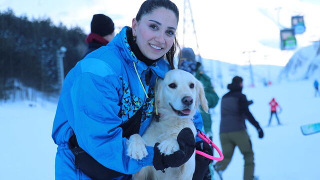 Sahiplenilen Hera, arama kurtarma köpeği oldu