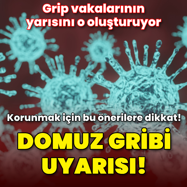Domuz gribi uyarısı! Vakaların yarısını o oluşturuyor