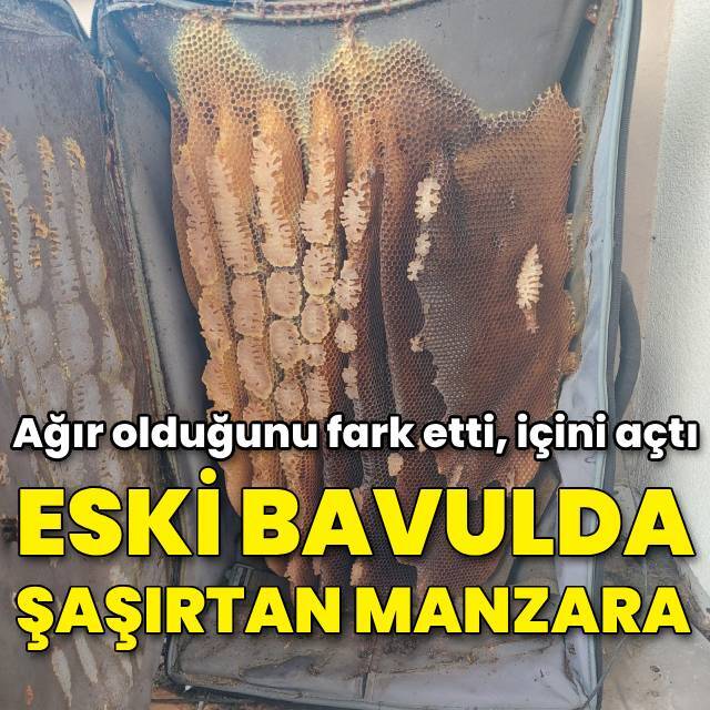  Kullanılmayan bavulda şaşırtan manzara!
