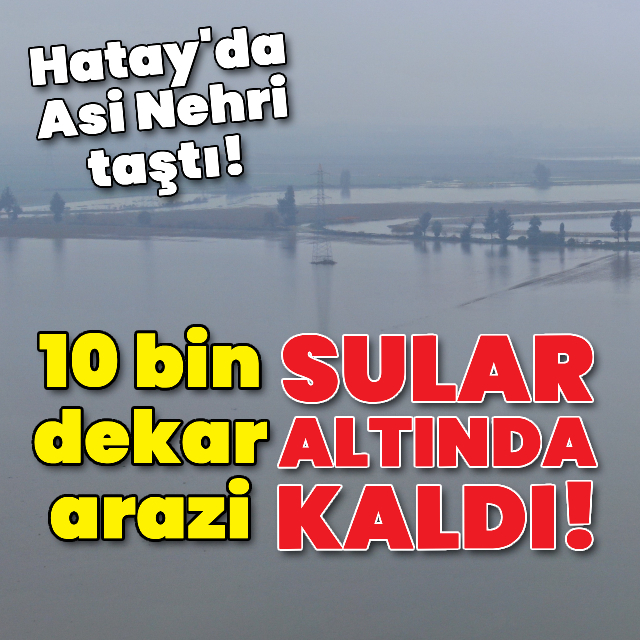 Hatay'da 10 bin dekar arazi sular altında!