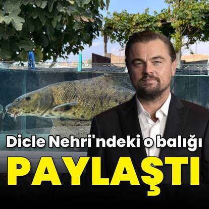 Dicle Nehri'ndeki o balığı paylaştı
