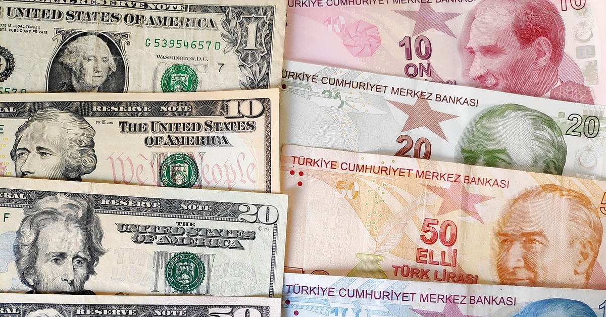 Перевести евро в лиры. Турецкий доллар.