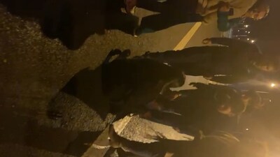 Kaptan ve muavin kavga edince yolcular sinir krizi geçirdi!