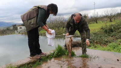  Sulama göletinde bulundu