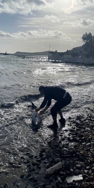  Kurtarmak için saatlerce uğraştılar