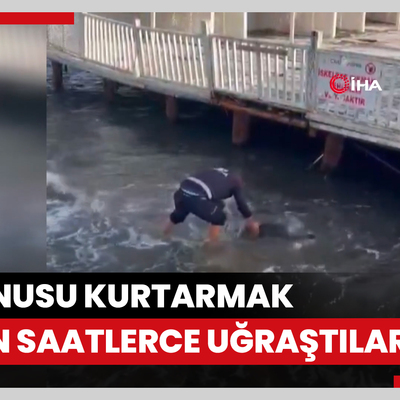 Sancaktepe’de avukat, 14 yaşındaki oğlu tarafından defalarca bıçaklanarak öldürüldü