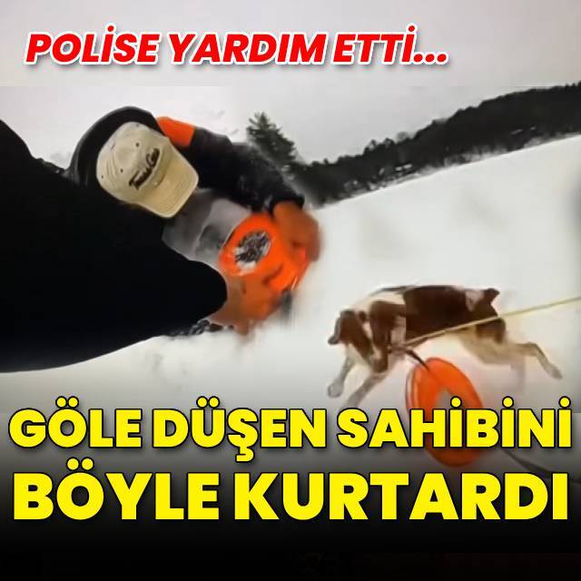 Donmuş göle düşen sahibini böyle kurtardı