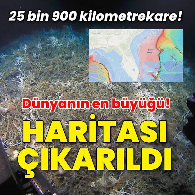 25 bin 900 kilometrekare! Haritası çıkarıldı...