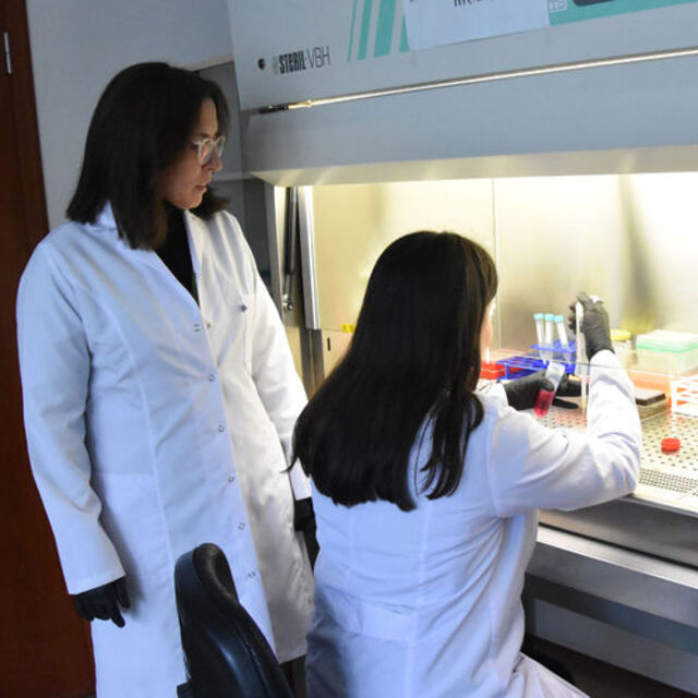 Türk profesörden dikkat çeken çalışma! Patentini aldı