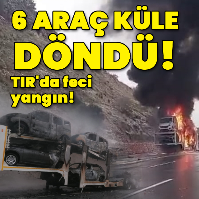 TIR'da çıkan yangında araçlar küle döndü!