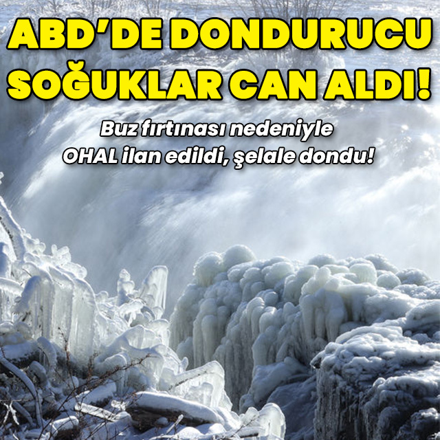 ABD'de dondurucu soğuklar can aldı!