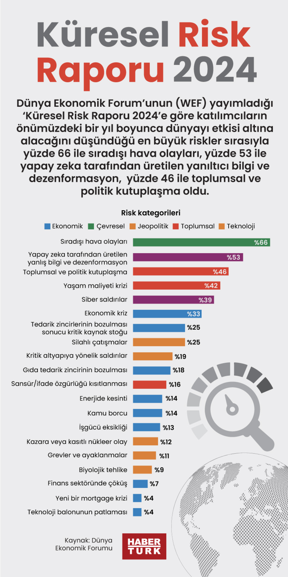  Küresel Risk Raporu 2024