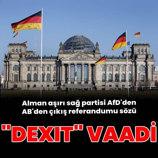 Almanya aşırı sağ partisi AfD'den "Dexit" vaadi
