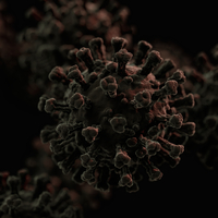 DSÖ'den X hastalığı uyarısı!