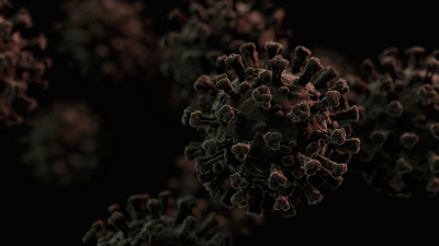 DSÖ'den X hastalığı uyarısı!