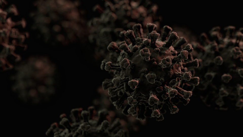 DSÖ'den X hastalığı uyarısı!