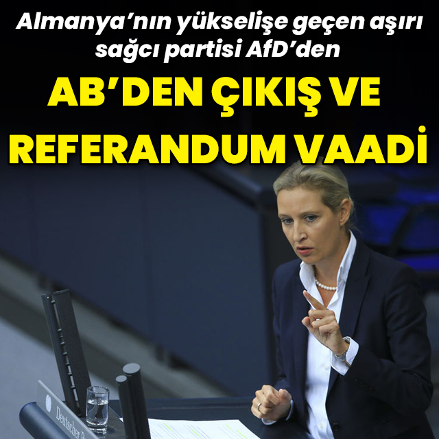Almanya'nın aşırı sağcı partisinden AB'den çıkış vaadi