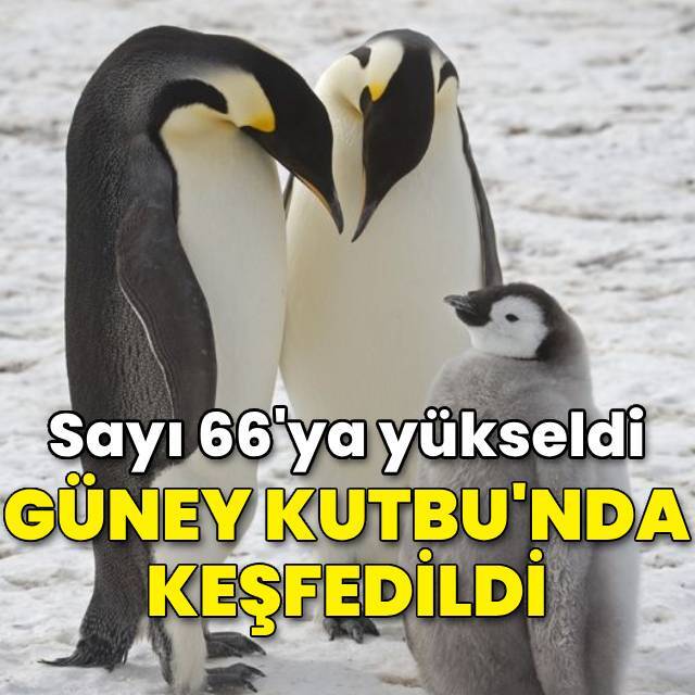 Güney Kutbu'nda keşfedildi