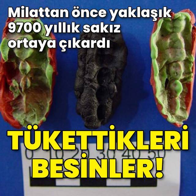 Taş devrinden kalma sakız ortaya çıkardı