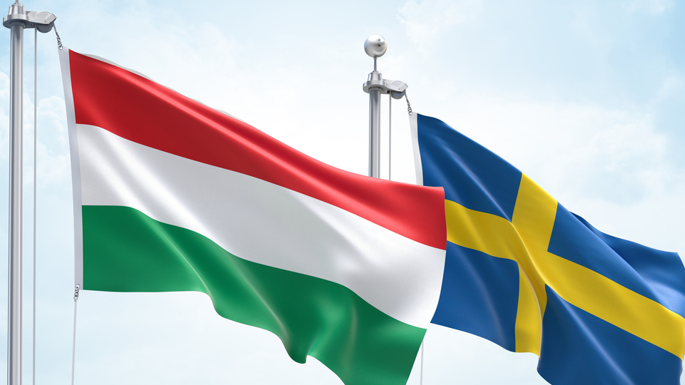 Macaristan İsveç'e vize verir mi?