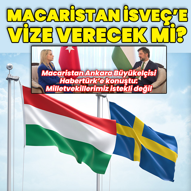 Macaristan İsveç'e vize verir mi?