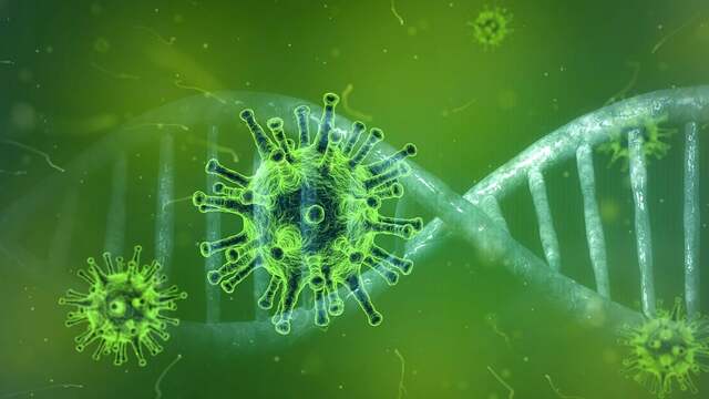 X hastalığı nedir? Belirtileri var mı?