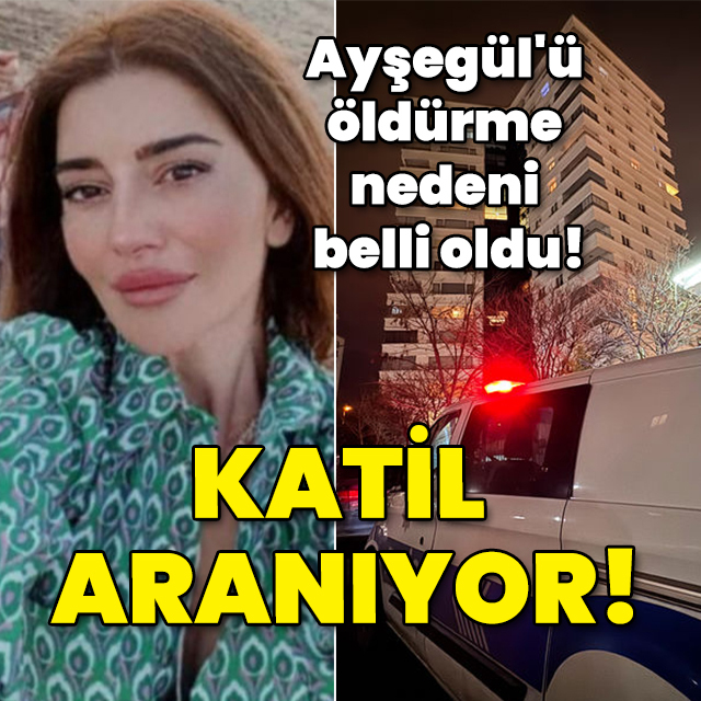 Ayşegül'ü öldürme nedeni belli oldu! Katil aranıyor!