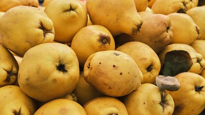 Ayvanın faydaları ve zararları