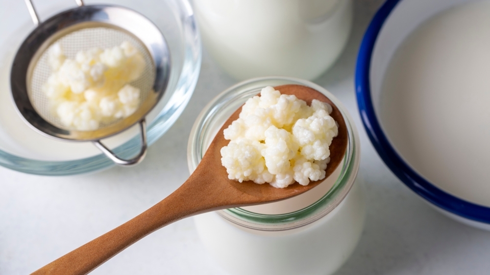 Kefirin faydaları nelerdir?