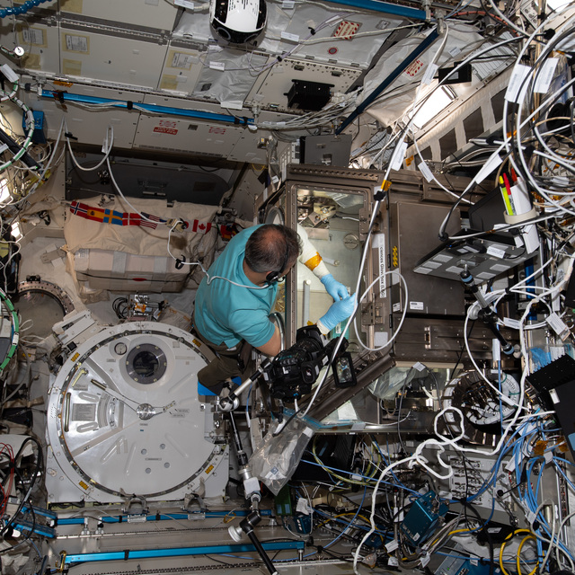  Muşlu öğrencilerin deneyine başladı