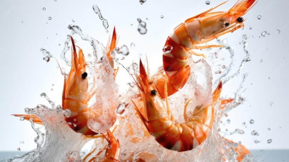 Karidesin faydaları ve zararları