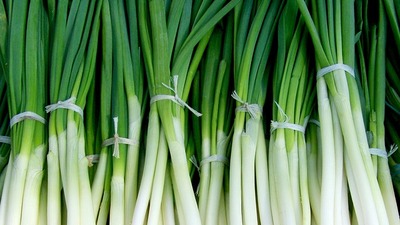 Yeşil soğanın faydaları neler?