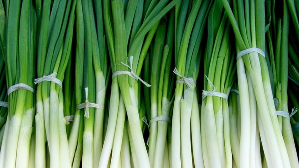 Yeşil soğanın faydaları neler?