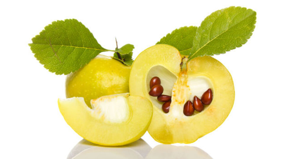 Ayva Çekirdeğinin Faydaları