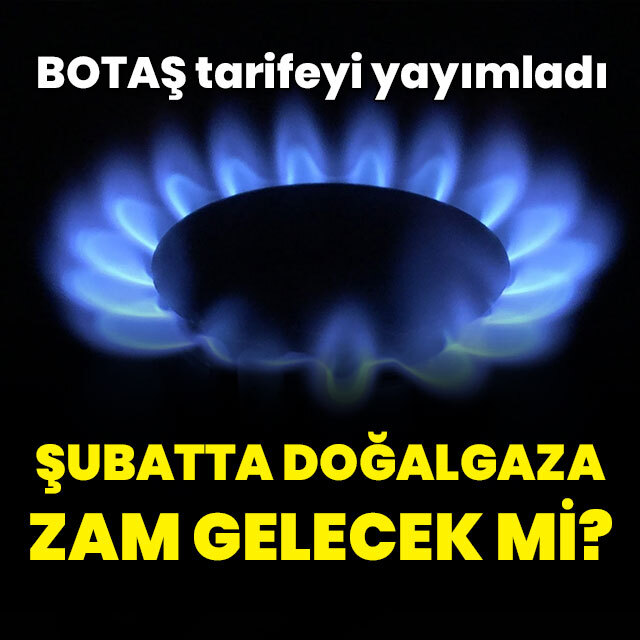 Şubatta doğalgaza zam gelecek mi?