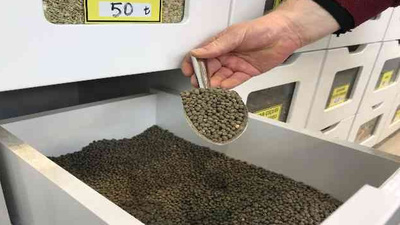 Bamya Tohumu Sağlığa Faydaları