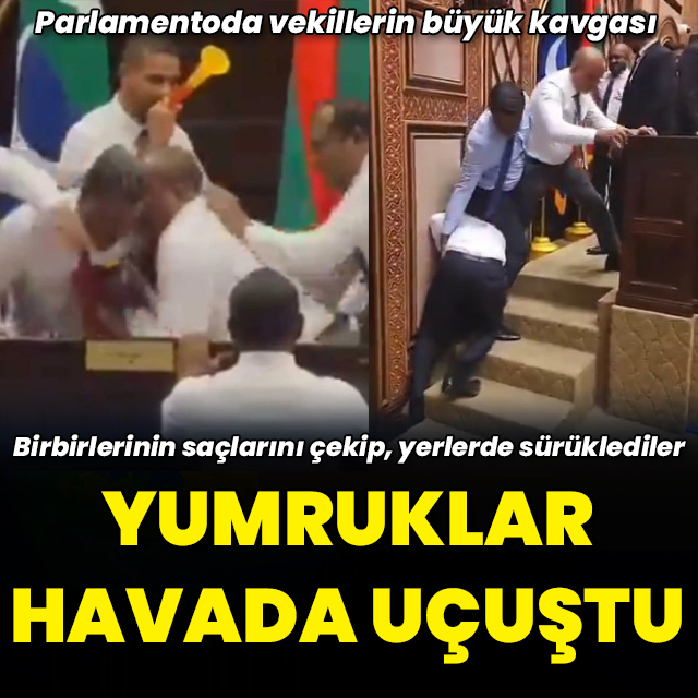 Maldivler'de vekillerin yumruk yumruğa kavgası