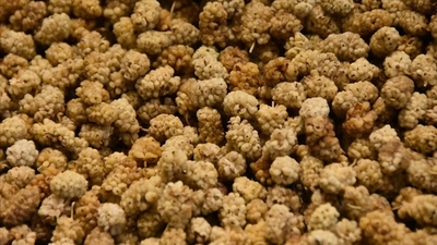 Dut kurusu neye iyi gelir?