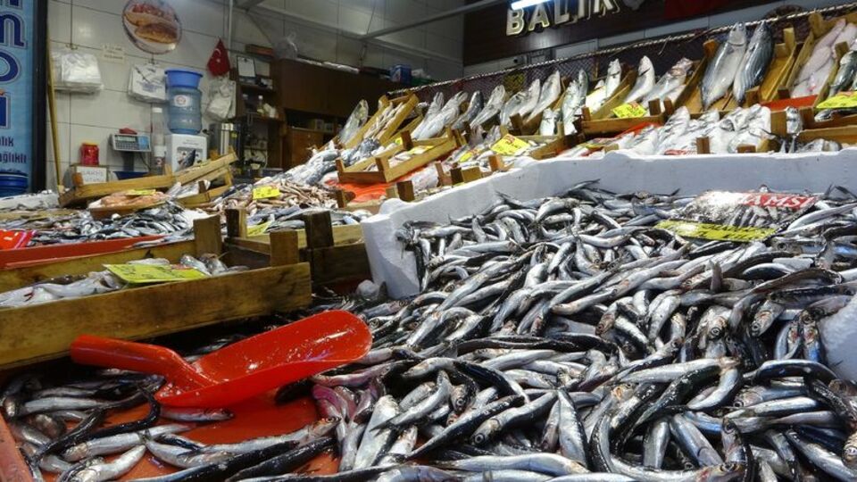 Hamsi, lüfer, mezgit tezgahlarda kaç lira?