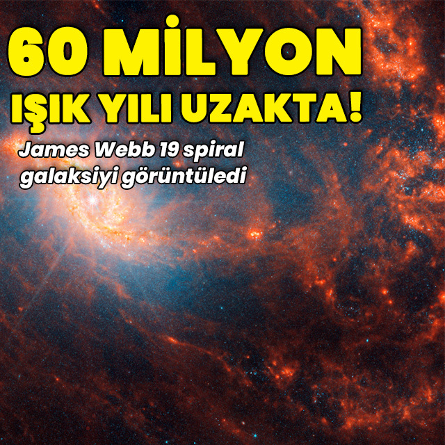 James Webb 60 milyon ışık yılı uzaklıktaki galaksiyi görüntüledi
