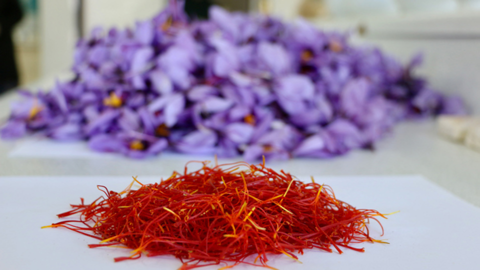 Safranın faydaları