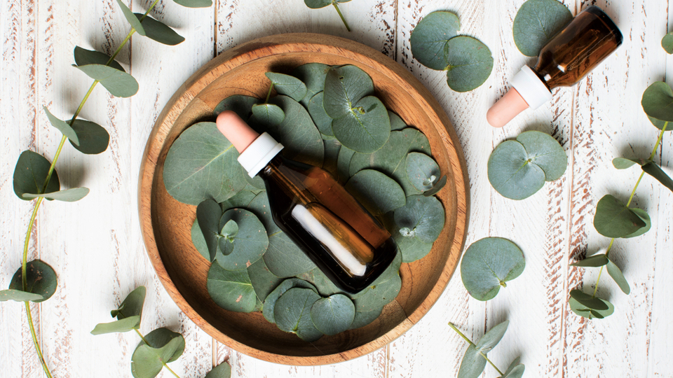 Okaliptus yağı nedir