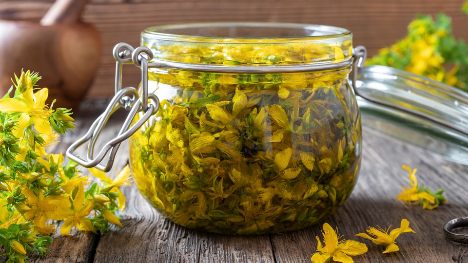 Kantaron yağı cilde faydaları