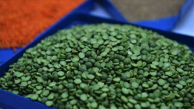 Yeşil mercimek faydaları