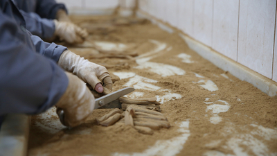 Mesir macunu faydaları nelerdir