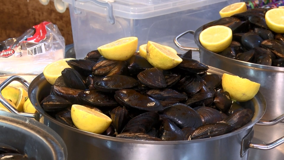 Boğaz midyesinde mikroplastik uyarısı!