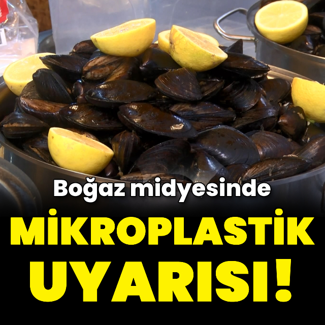 Boğaz midyesinde mikroplastik uyarısı!