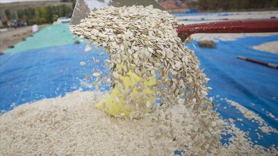 Kabak çekirdeği faydaları