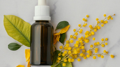 Kantaron yağı saça faydaları